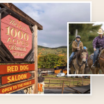 Discover 1000 Acres Ranch – The Perfect Escape for Families Near Montreal and Albany