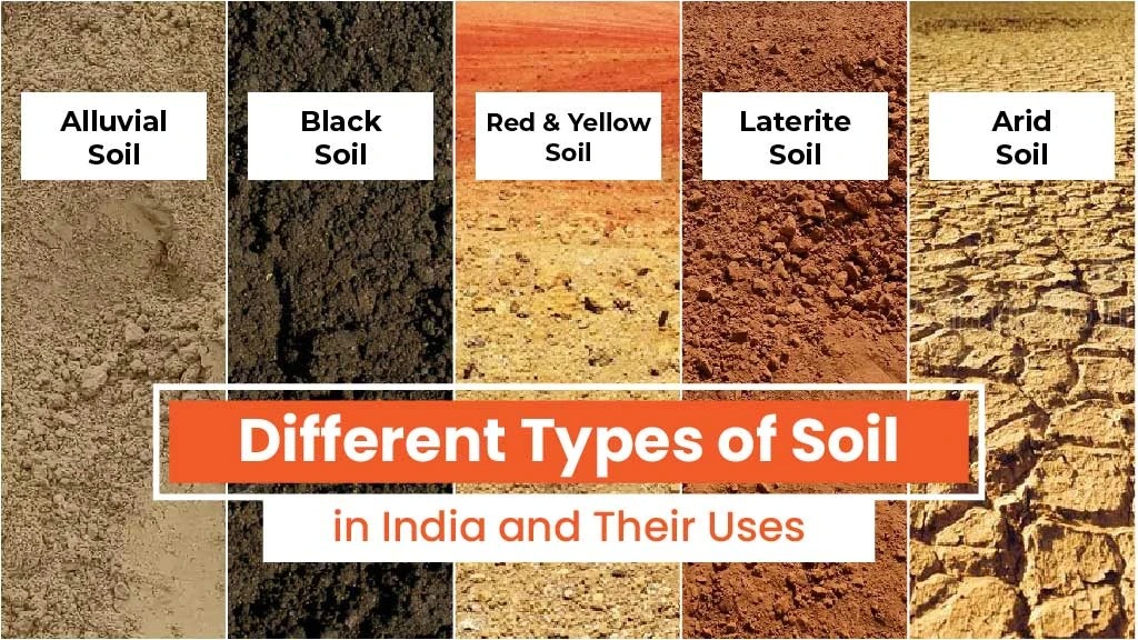Discover the Soil Type and Its Formation