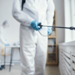 Sugar Land Pest Control: The Complete Guide to Protecting Your Home and Business Year-Round