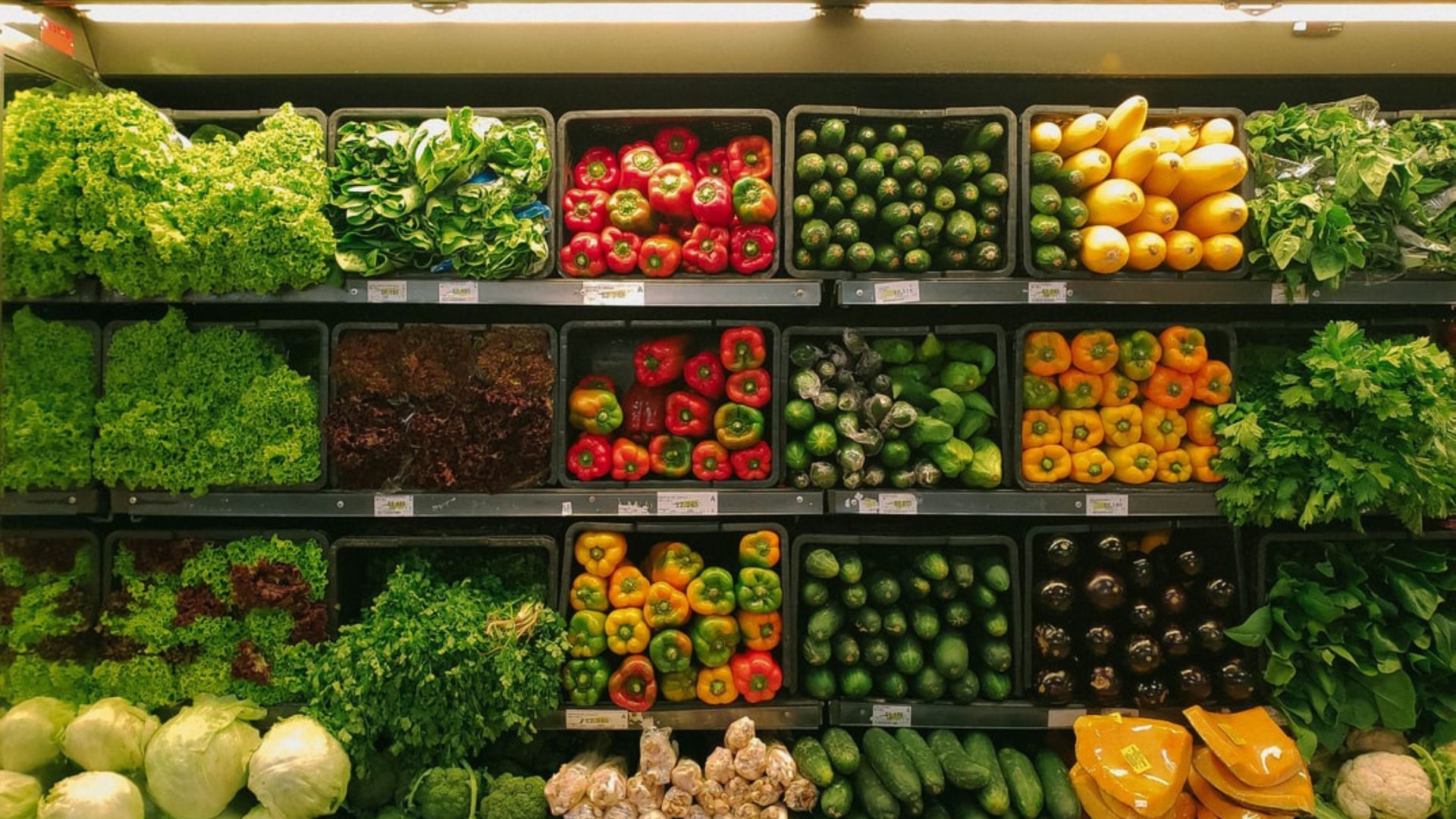 How to Build Long-Term Partnerships with Vegetable Wholesalers Los Angeles
