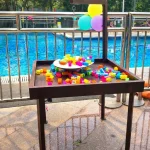 Pool Party Theme Service in Gurgaon