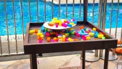 Pool Party Theme Service in Gurgaon