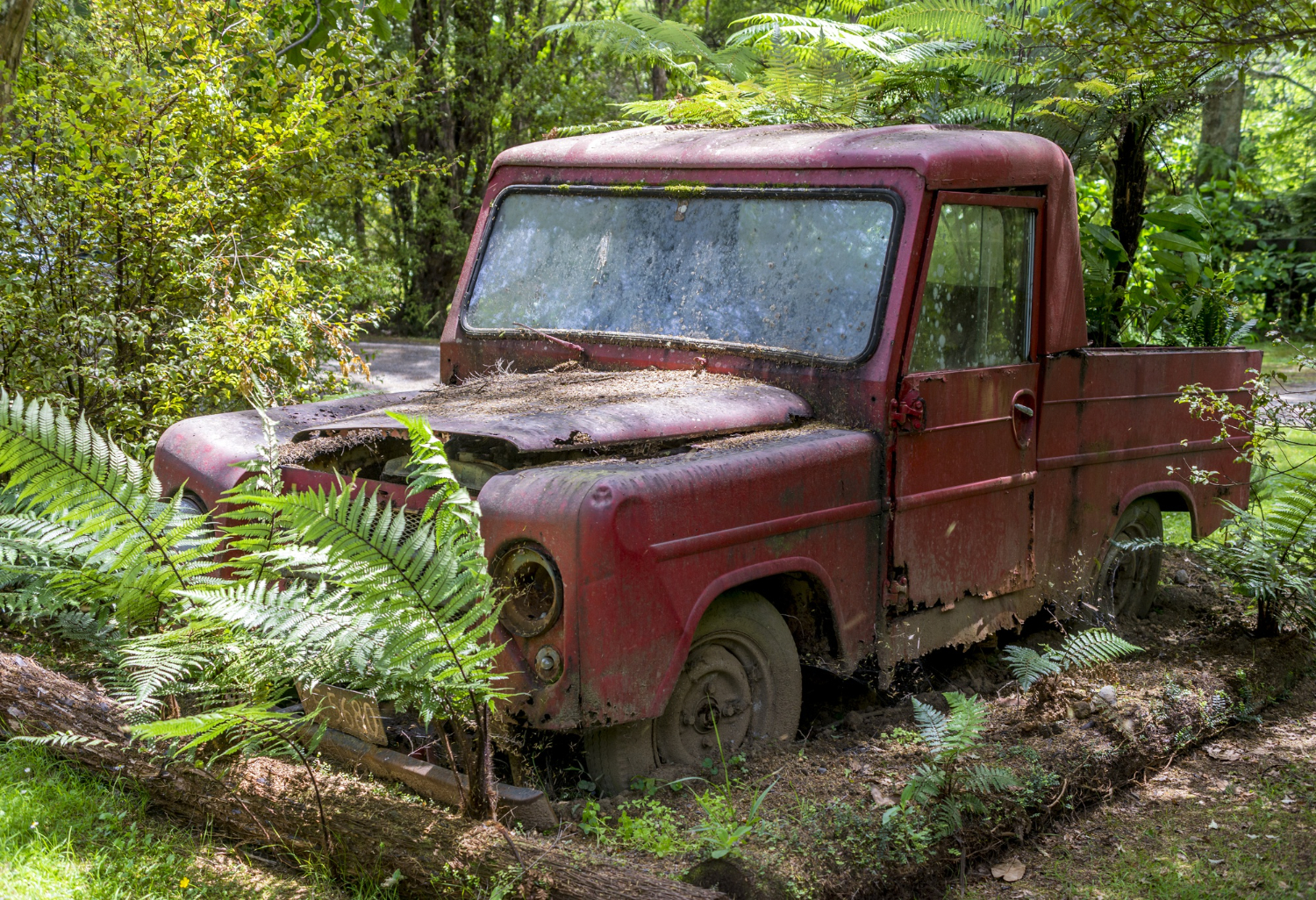 Top Reasons for Scrap Car Removal