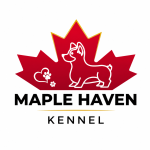 Maple Haven Kennel