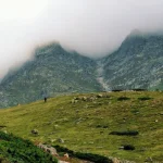 Which Tour Packages from Delhi NCR