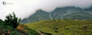 Which Tour Packages from Delhi NCR Are Best for Your Next Holiday?