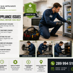 Appliance Repair Service Hamilton: 5 Common Issues and How Professional Repair Can Help