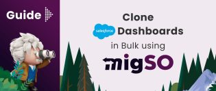 Clone Salesforce Permission Sets