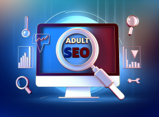 SEO for Adult Sites