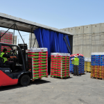 How Can Cheap Cargo Reduce Your Shipping Expenses