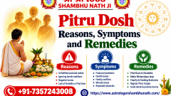 Pitru Dosh Reasons, Symptoms and Remedies