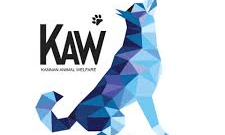 The Science of Dog Behavior Every Owner Should Know