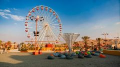 Liwa Desert Safari Abu Dhabi | Book Oasis & Dune Adventure