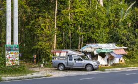 ttrash car parked on side of forest