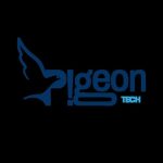 Pigeon Tech | Innovative Web & App Development Services