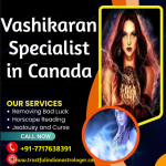 Vashikaran Specialist in Canada